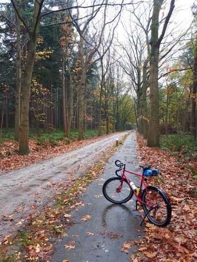 Zomaar een van de vele mooie bospaadjes