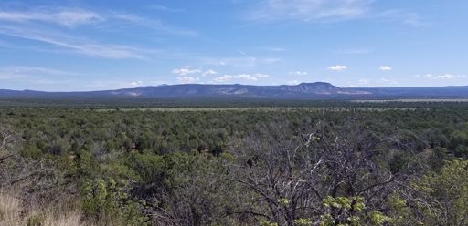 Overlooking  Hells  canyon