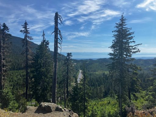 View towards Savory Is