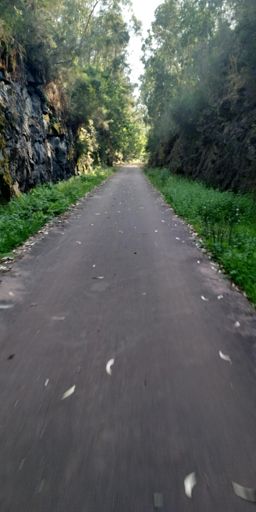 A ecopista, superagradecida 😍😍