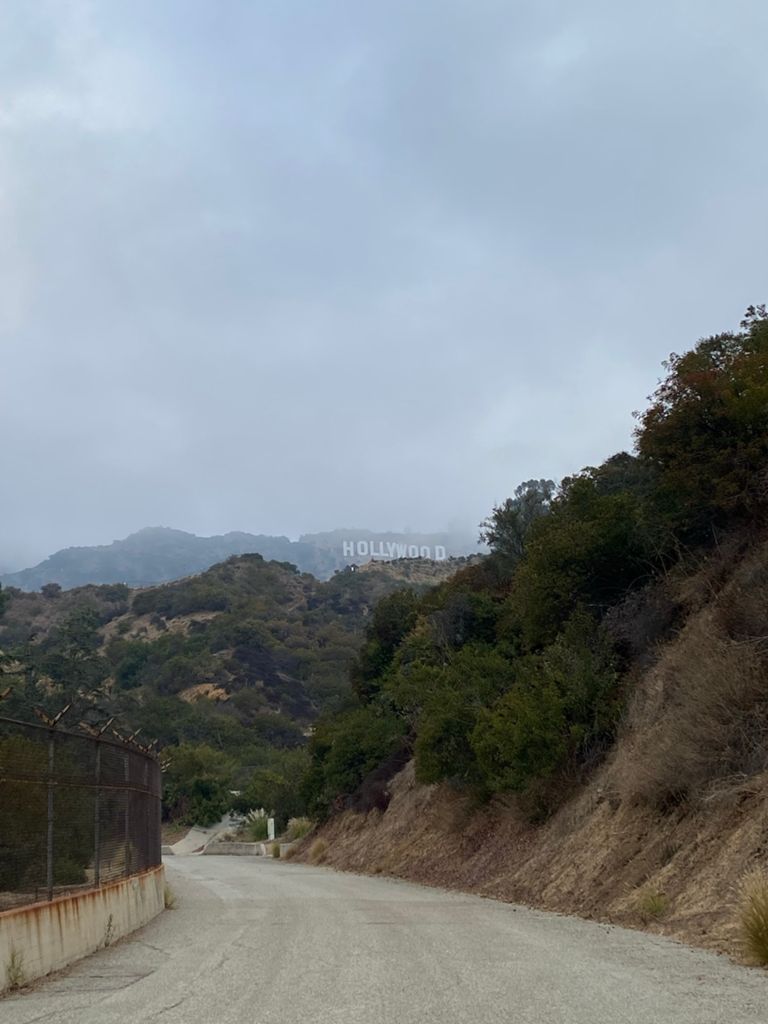 NBB run - Lake Hollywood: фото 157