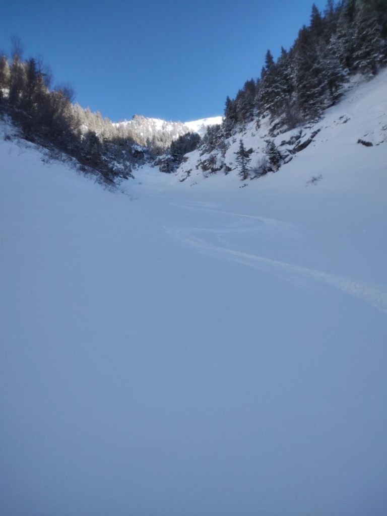 Double-click to expand Taylor | Jackson Hole — photo 6