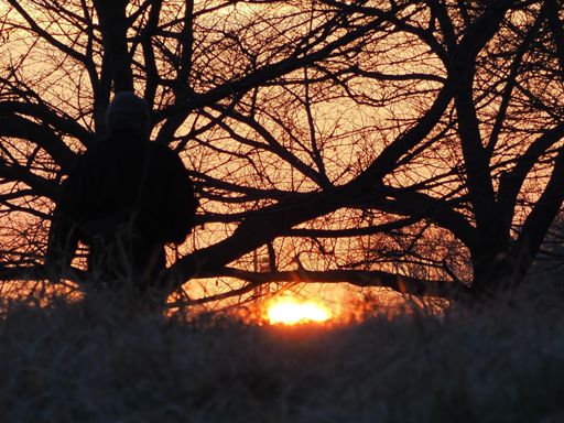 振り返れば、日の出