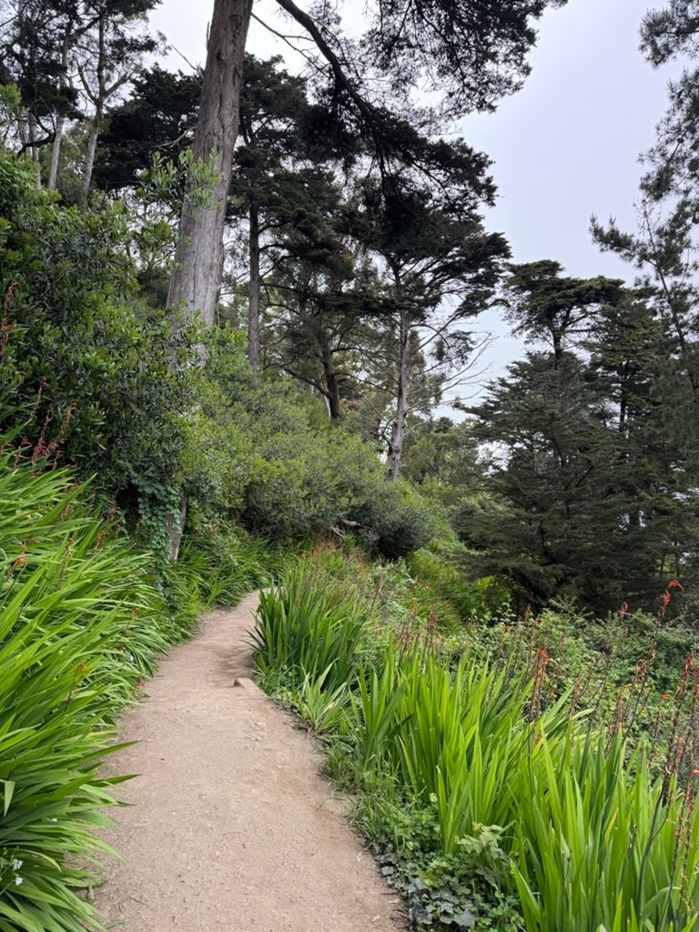 Butterlap (Presidio & Golden Gate Park) photo 54