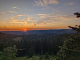 La dentelle des fées