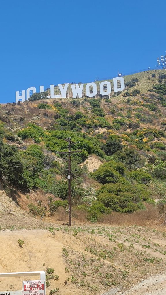 NBB run - Lake Hollywood: фото 149