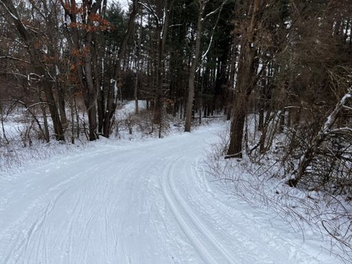 It’s like being a gerbil in a wheel. 