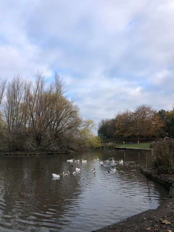 Market Weighton to Doncaster 65.6 km Cycling Route on Strava