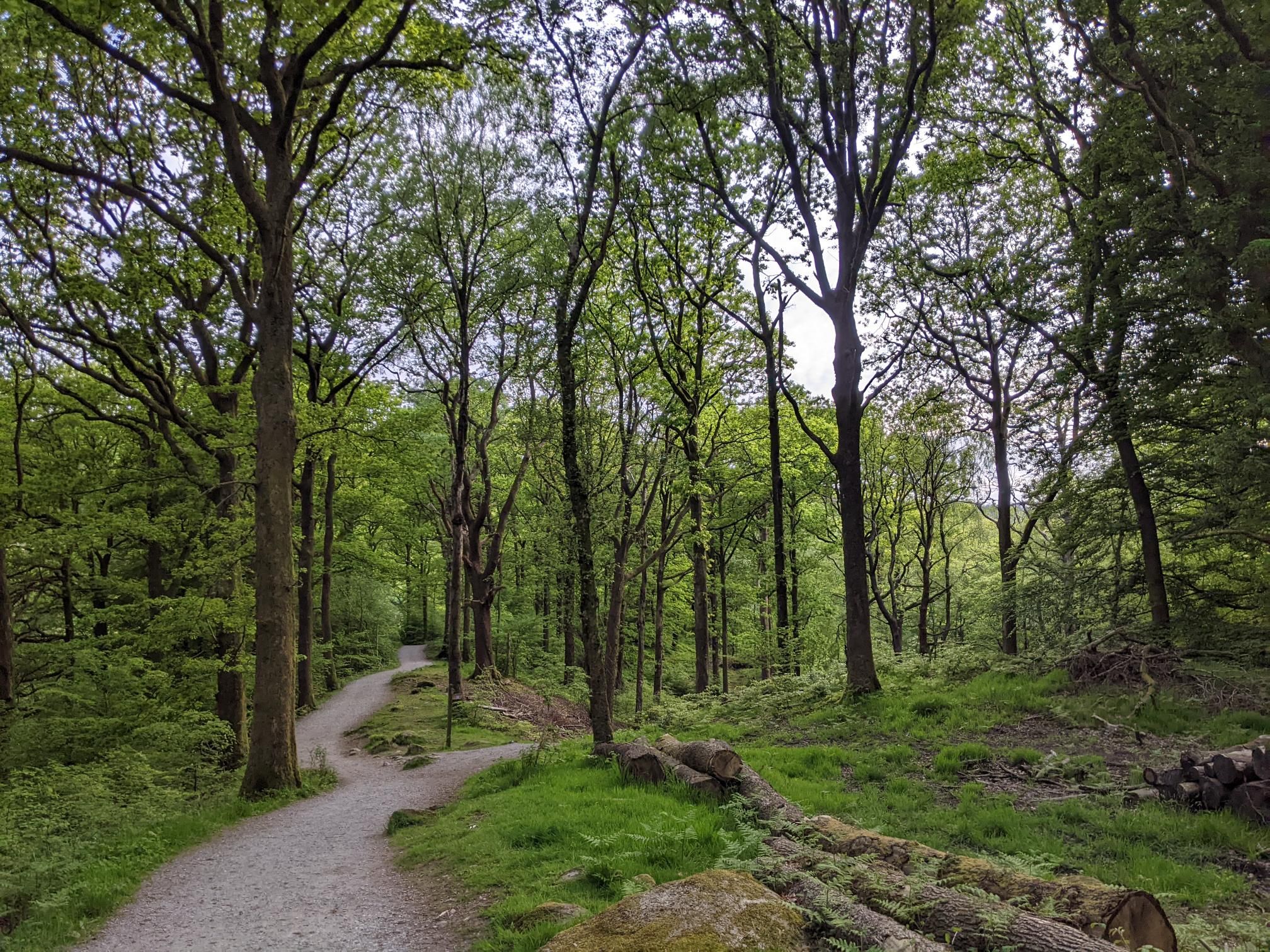 Random bike packing trip around the north - Day 1 photo 6