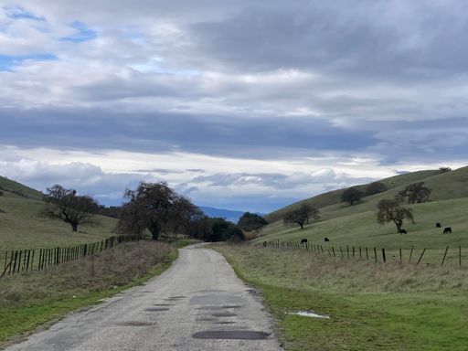 Top of Santa Anita, looking north