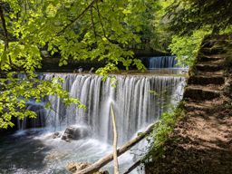 Creux du van, gorges de l’Areuse, retour par le dos d’âne