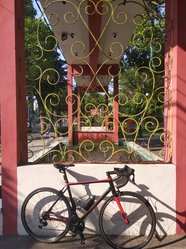 At Kebon Rojo Jombang