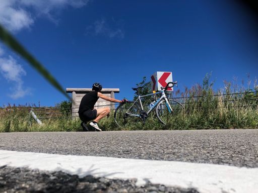 1発撮り失敗。すぐアブ集まる。