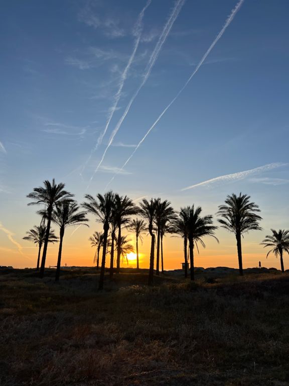 Miércoles de Amanecer 🌅