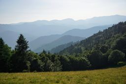 Entre le col d’Amic et le Vieil Armand