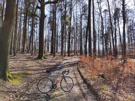Drletín nikdy nezklame