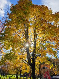 Randonnée dans l’après-midi