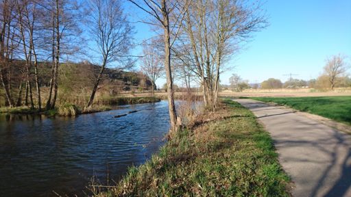 Krokodil im Badischen