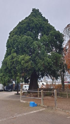 Mainz_ID24204_BM_Rheinhessenstraße_200