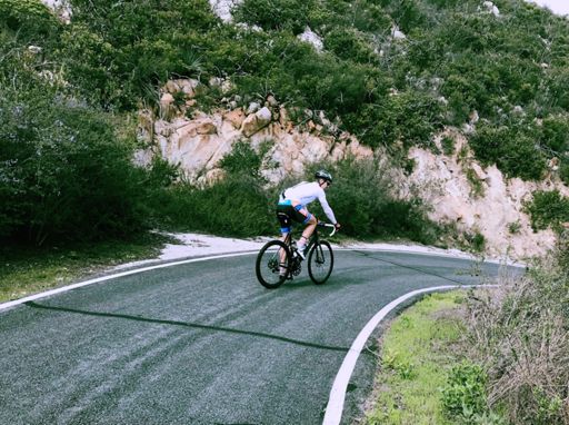 Toro skirting disc brake melt down