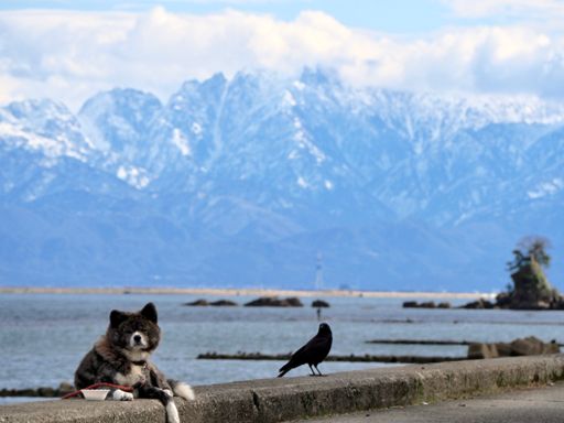 立山連峰美しい