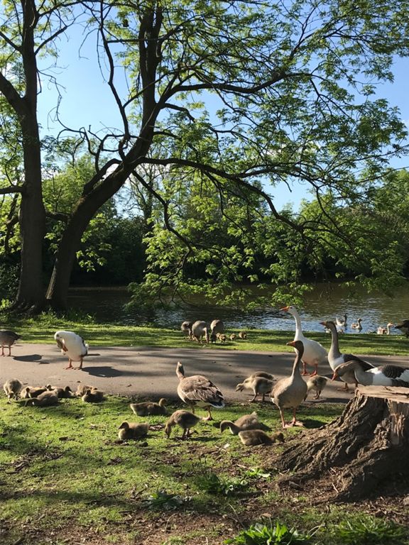 Market Weighton to Doncaster 65.6 km Cycling Route on Strava