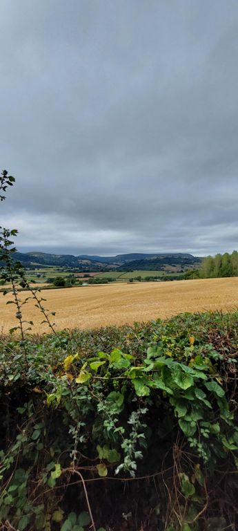 Hills we fortunately did not climb!