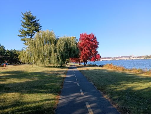 Fall along the Potomac