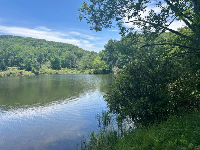 gravity | 45.7 mi Cycling Route on Strava