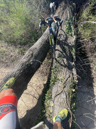 Tree navigation ... in case it's hard to tell, I was probably 6 feet in the air here. 