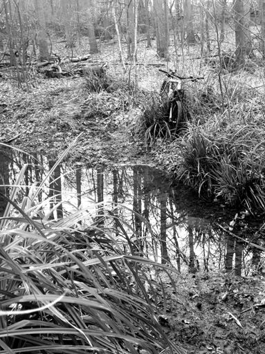 Geh nie tief ins Wasser es ist Dativ