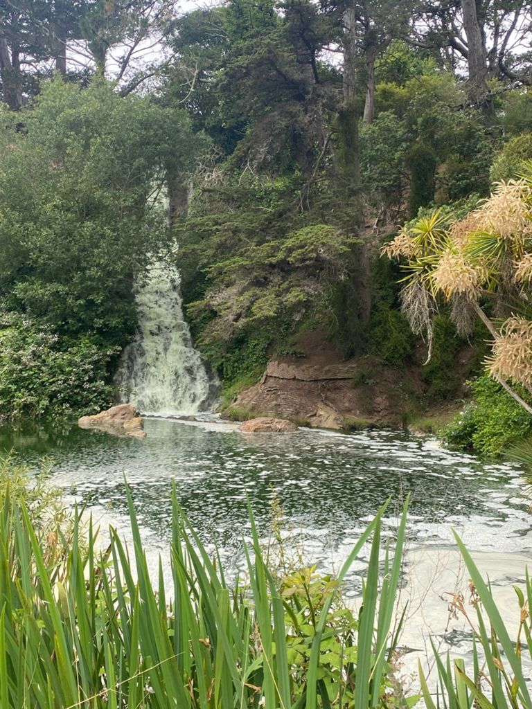 Butterlap (Presidio & Golden Gate Park) photo 68