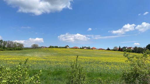 Harka mellett készült fotó