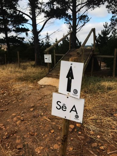 Which one did I take?