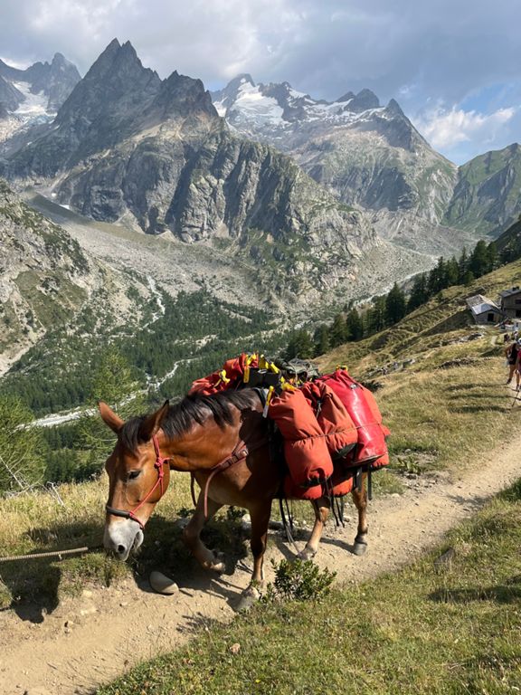 TMB day 3 - Courmayeur to Champex Lac photo 6