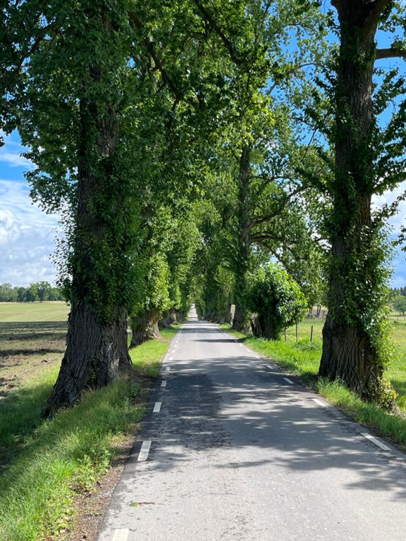 route-highlight