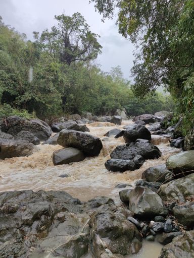 Ligo sana kami kaso umulan, naging brow yung tubig