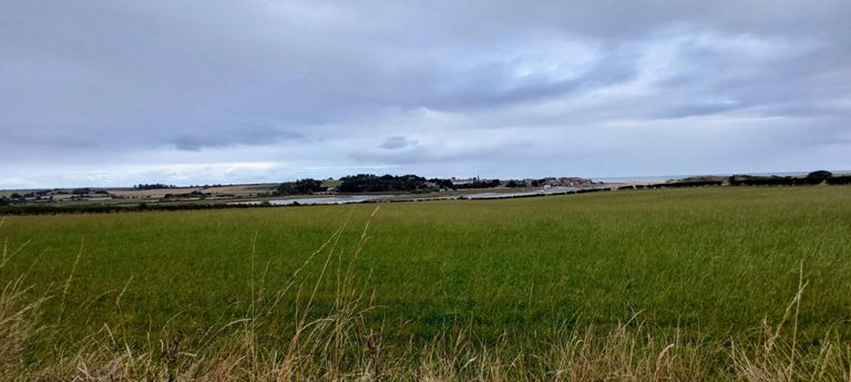 Alnmouth -  visiting adds three sides to a rectangle. http://www.yournorthumberland.co.uk/area-guides/alnmouth