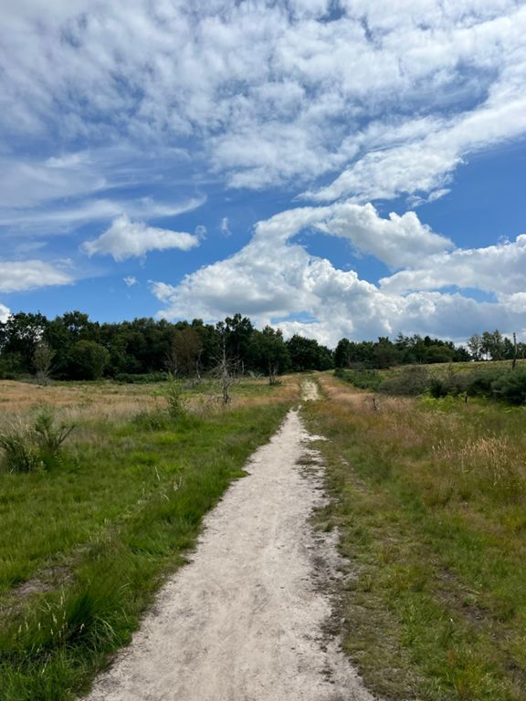 route-highlight