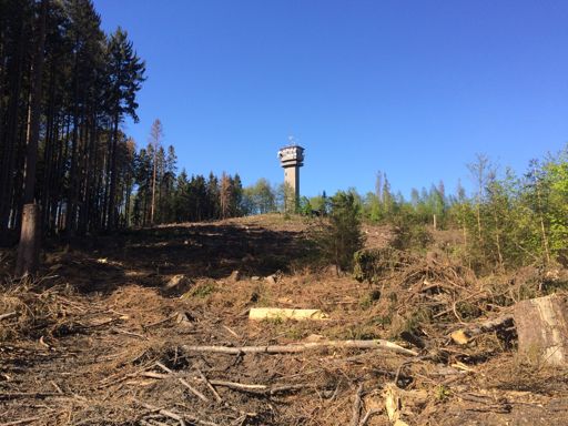 Wo der halbe Wald weg ist, sieht man den Turm auch schon bevor man direkt davor steht.