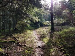 2 rougimonts et 3 pierres