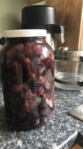 Soaking Distilled Bicarb Prep