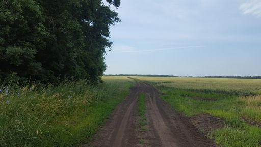 Дорога на Стебаево