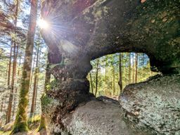 Boucle depuis la vierge Clarisse