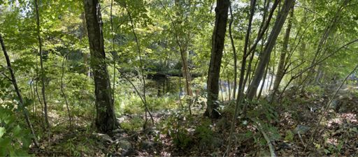 Creeks are looking much better☺️