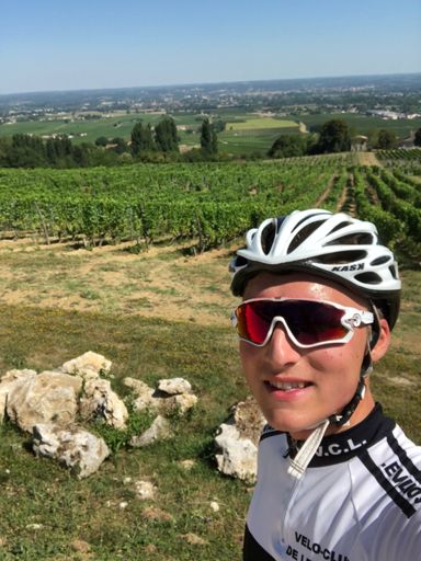 Les vignes de montbazillac 😋