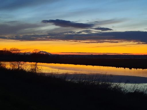 Abendstimmung in der Hammeniederung