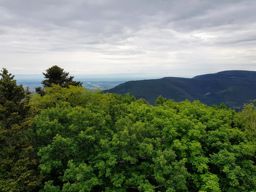 Guirbaden Heindenkopf