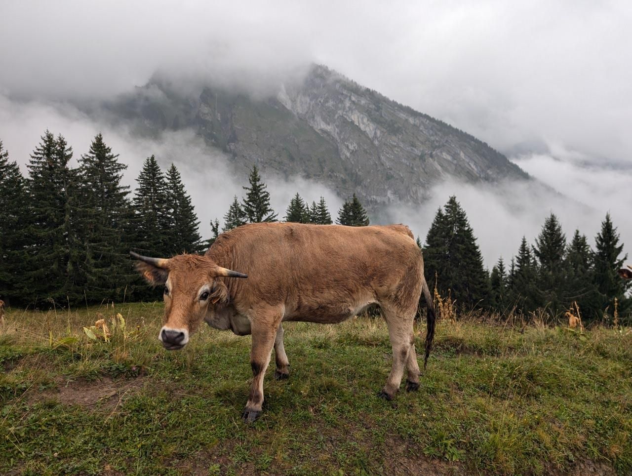 GR 5 Part 1 - Day 5 photo 4