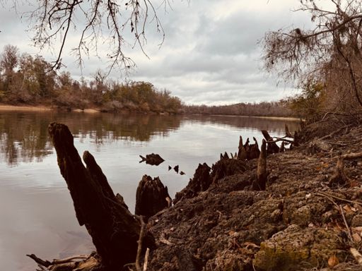 Apalachicola River 